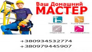 Домашний-мастер